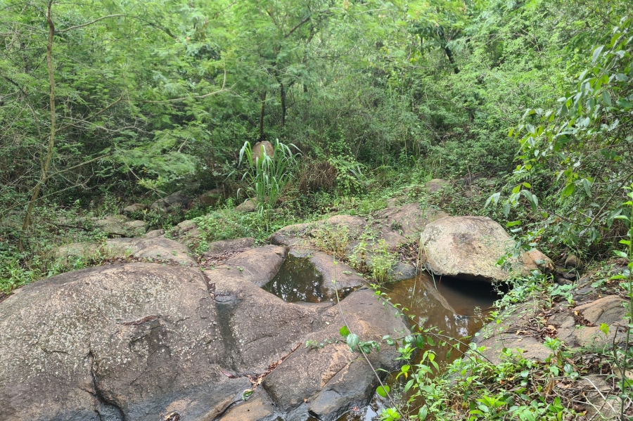 0 Bedroom Property for Sale in Nelspruit Rural Mpumalanga