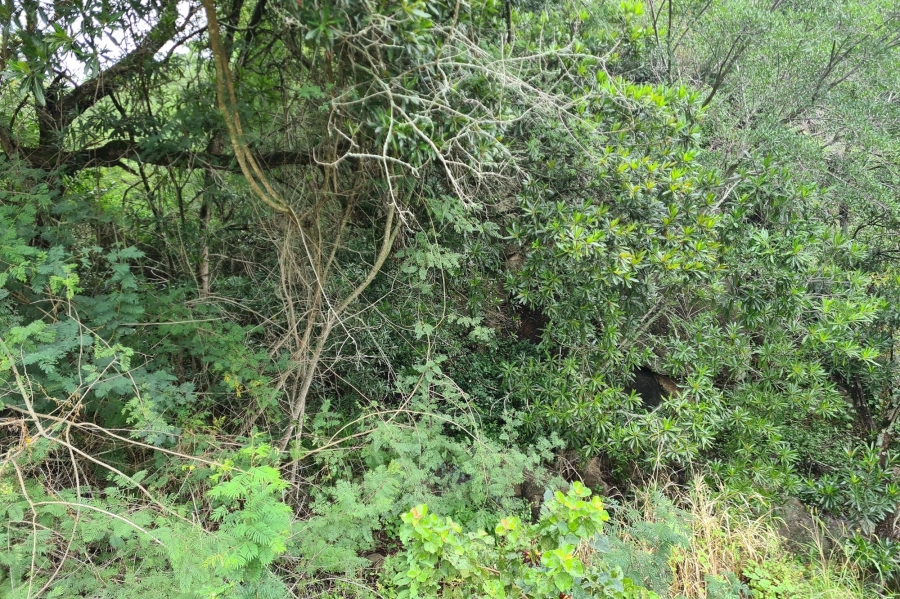 0 Bedroom Property for Sale in Nelspruit Rural Mpumalanga