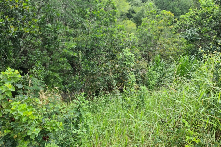 0 Bedroom Property for Sale in Nelspruit Rural Mpumalanga