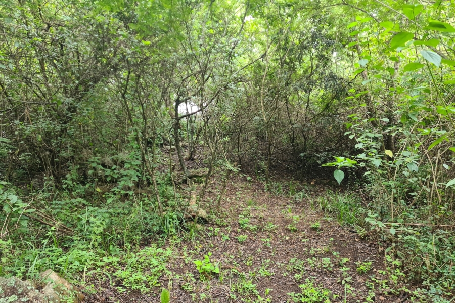0 Bedroom Property for Sale in Nelspruit Rural Mpumalanga