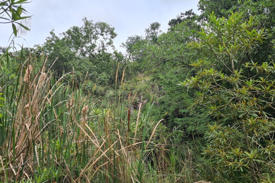 0 Bedroom Property for Sale in Nelspruit Rural Mpumalanga