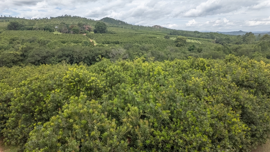 0 Bedroom Property for Sale in Nelspruit Rural Mpumalanga