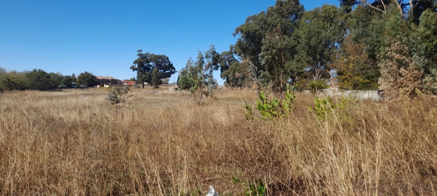 0 Bedroom Property for Sale in Balfour Mpumalanga