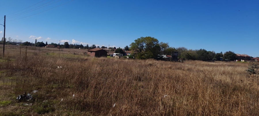 0 Bedroom Property for Sale in Balfour Mpumalanga