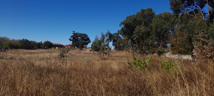 0 Bedroom Property for Sale in Balfour Mpumalanga
