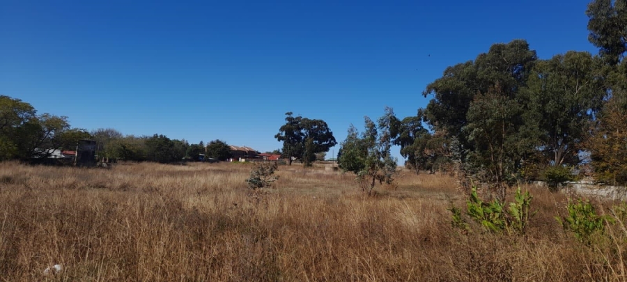 0 Bedroom Property for Sale in Balfour Mpumalanga