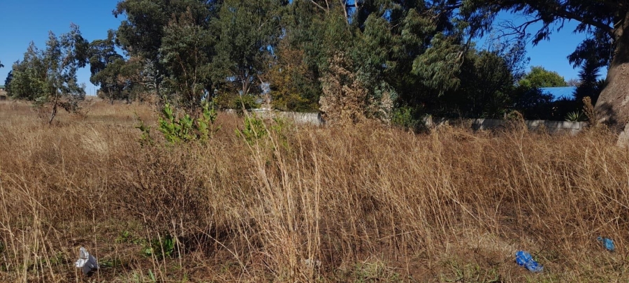 0 Bedroom Property for Sale in Balfour Mpumalanga