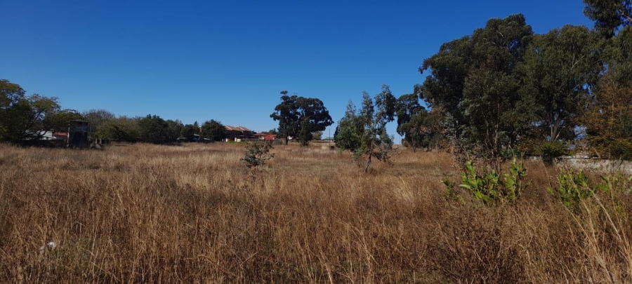 0 Bedroom Property for Sale in Balfour Mpumalanga