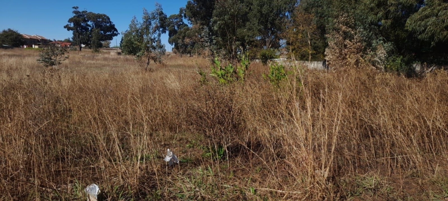 0 Bedroom Property for Sale in Balfour Mpumalanga