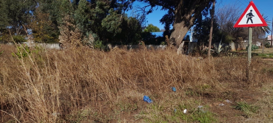 0 Bedroom Property for Sale in Balfour Mpumalanga