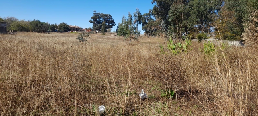 0 Bedroom Property for Sale in Balfour Mpumalanga