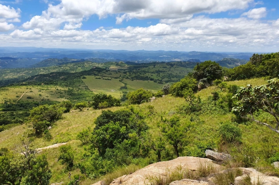 Commercial Property for Sale in Steiltes Mpumalanga