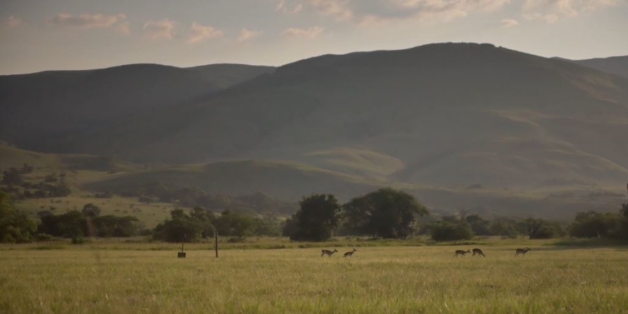 Commercial Property for Sale in Ngodwana Mpumalanga