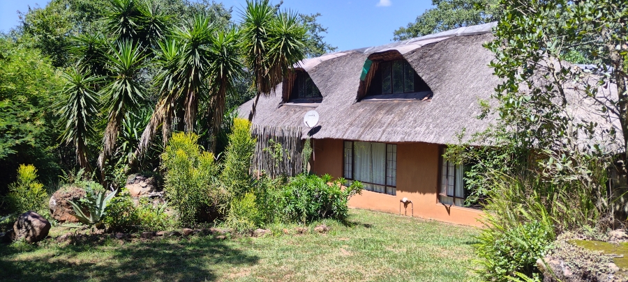 Commercial Property for Sale in Ngodwana Mpumalanga