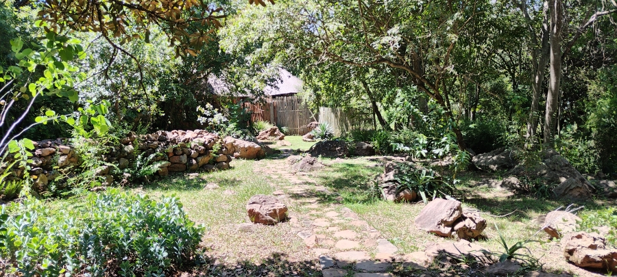 Commercial Property for Sale in Ngodwana Mpumalanga