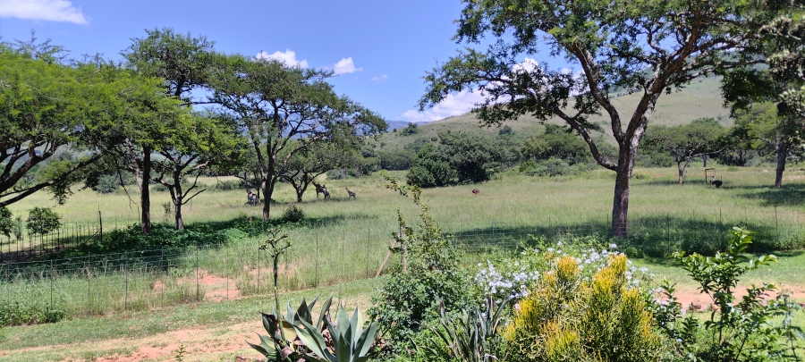 Commercial Property for Sale in Ngodwana Mpumalanga