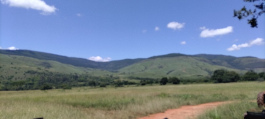 Commercial Property for Sale in Ngodwana Mpumalanga