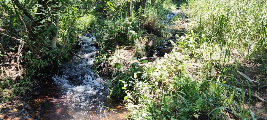 Commercial Property for Sale in Ngodwana Mpumalanga