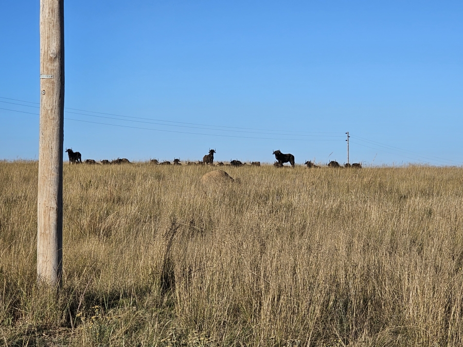 0 Bedroom Property for Sale in Golden Mile Mpumalanga