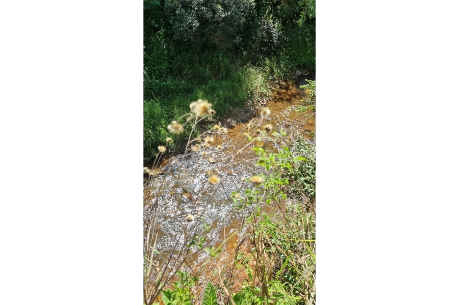 0 Bedroom Property for Sale in Elandshoek AH Mpumalanga