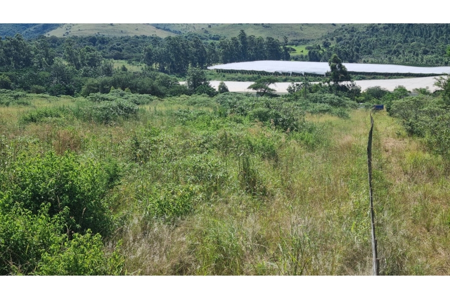 0 Bedroom Property for Sale in Elandshoek AH Mpumalanga