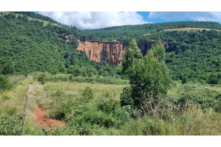0 Bedroom Property for Sale in Elandshoek AH Mpumalanga