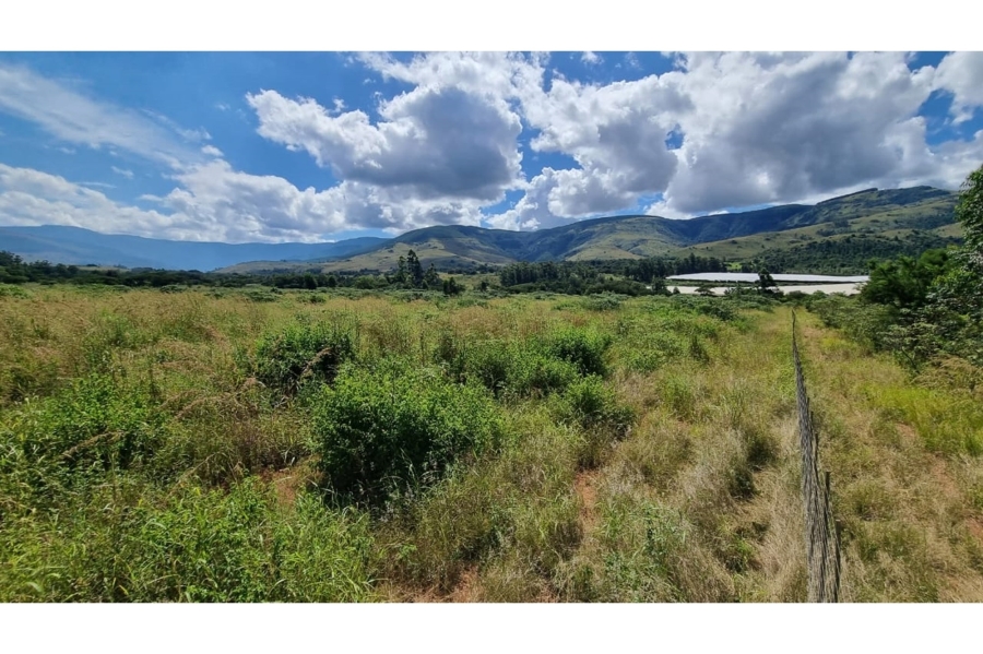 0 Bedroom Property for Sale in Elandshoek AH Mpumalanga