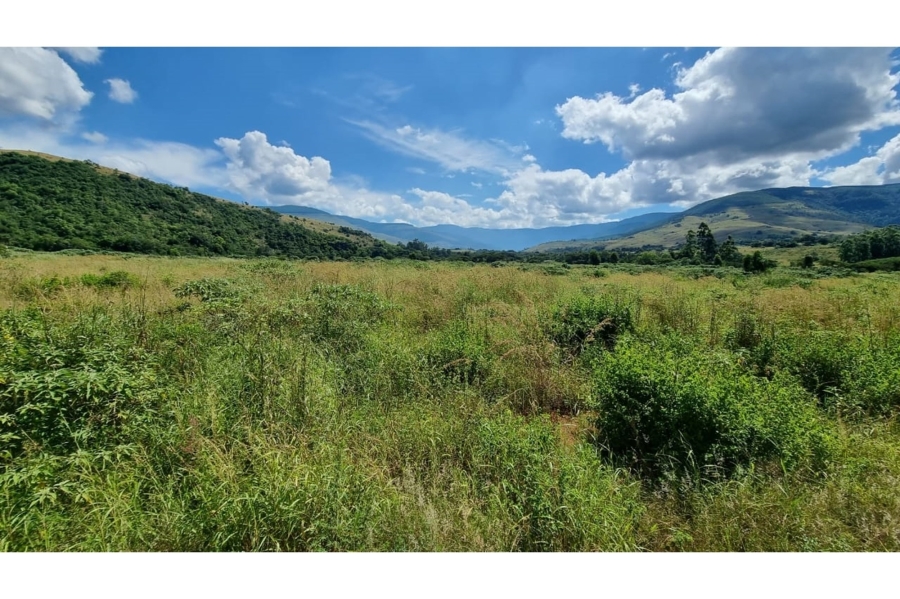 0 Bedroom Property for Sale in Elandshoek AH Mpumalanga