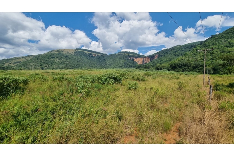 0 Bedroom Property for Sale in Elandshoek AH Mpumalanga