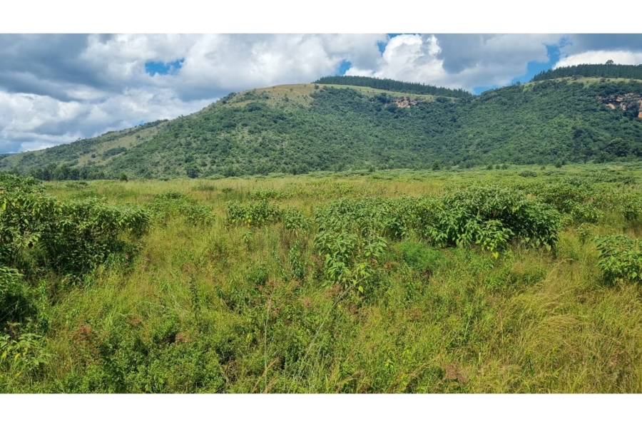 0 Bedroom Property for Sale in Elandshoek AH Mpumalanga