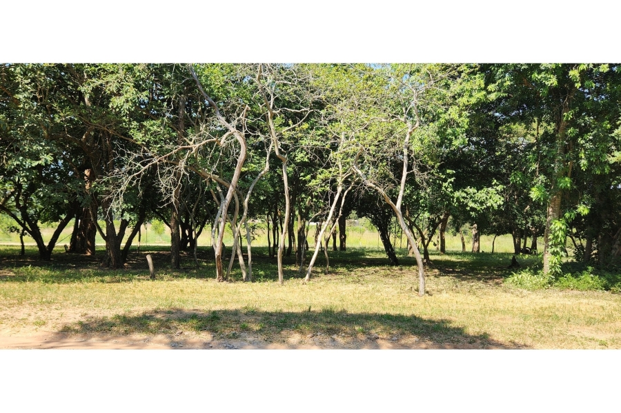 11 Bedroom Property for Sale in Nelspruit Rural Mpumalanga
