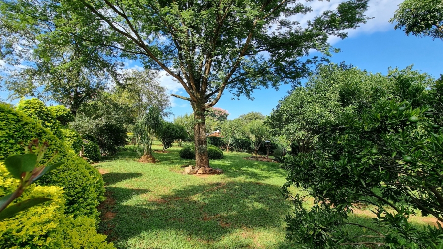 Commercial Property for Sale in Sabie Rural Mpumalanga