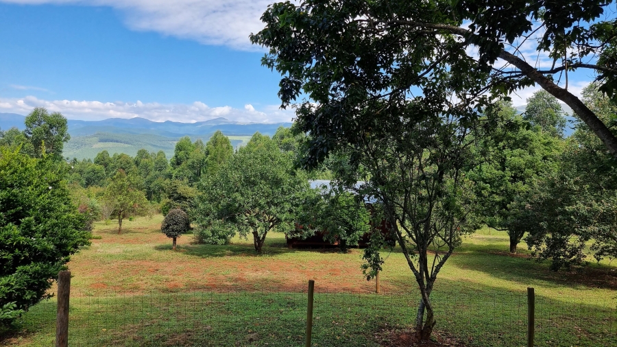 Commercial Property for Sale in Sabie Rural Mpumalanga