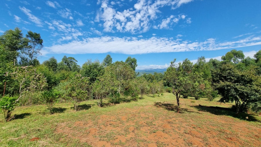 Commercial Property for Sale in Sabie Rural Mpumalanga