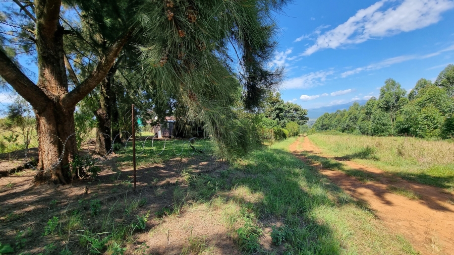Commercial Property for Sale in Sabie Rural Mpumalanga