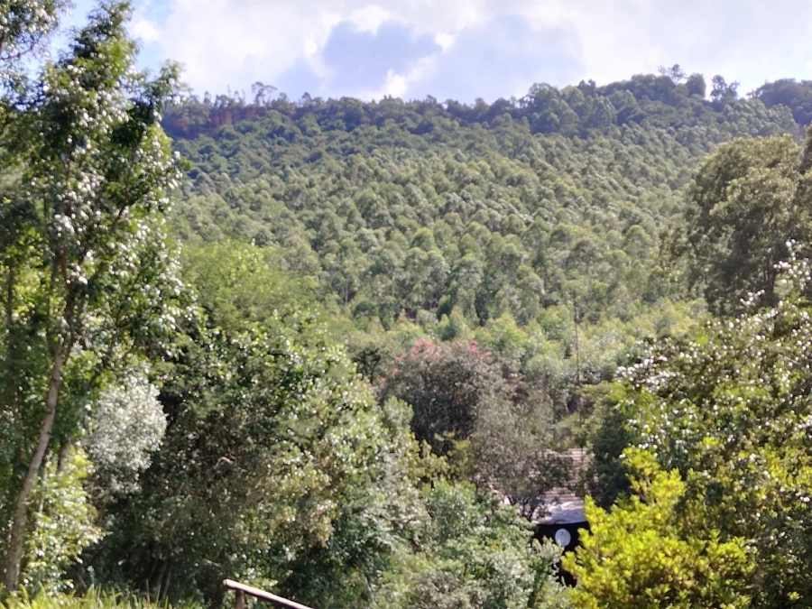 Commercial Property for Sale in Sabie Rural Mpumalanga
