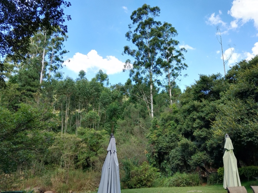 Commercial Property for Sale in Sabie Rural Mpumalanga