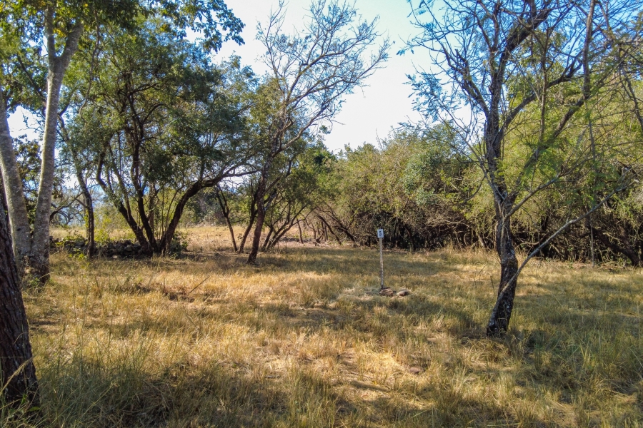 0 Bedroom Property for Sale in Samango Eco Estate Mpumalanga