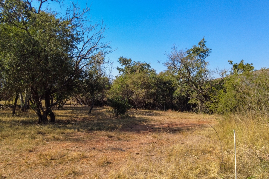 0 Bedroom Property for Sale in Samango Eco Estate Mpumalanga