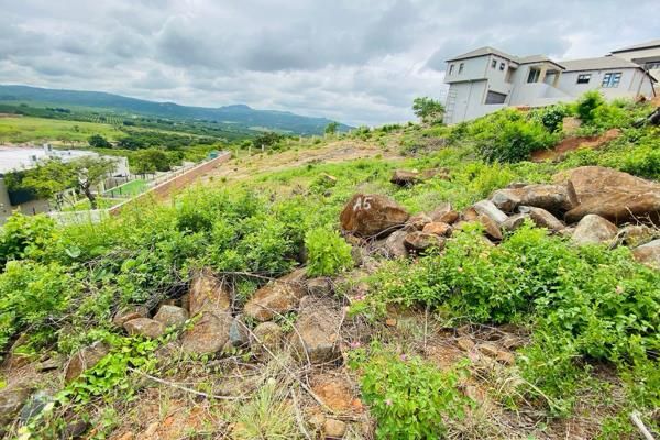 0 Bedroom Property for Sale in Drum Rock Mpumalanga