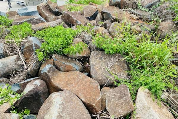 0 Bedroom Property for Sale in Drum Rock Mpumalanga
