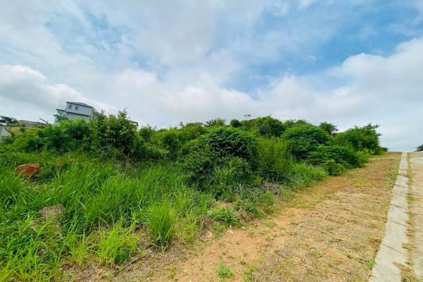 0 Bedroom Property for Sale in Drum Rock Mpumalanga