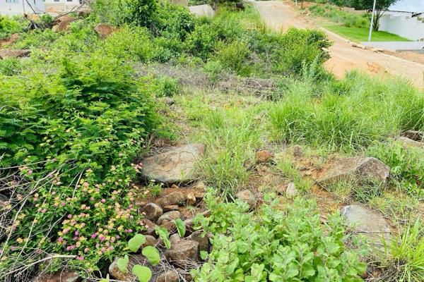 0 Bedroom Property for Sale in Drum Rock Mpumalanga