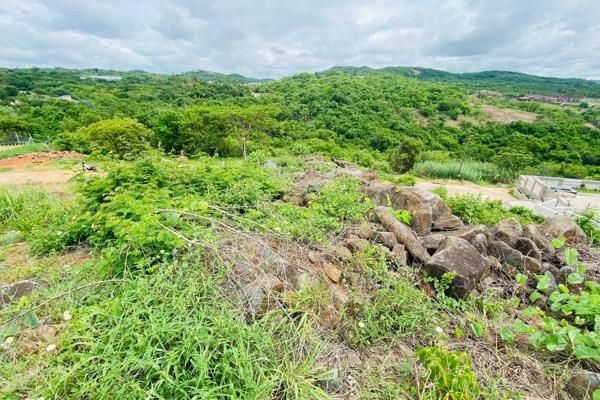 0 Bedroom Property for Sale in Drum Rock Mpumalanga