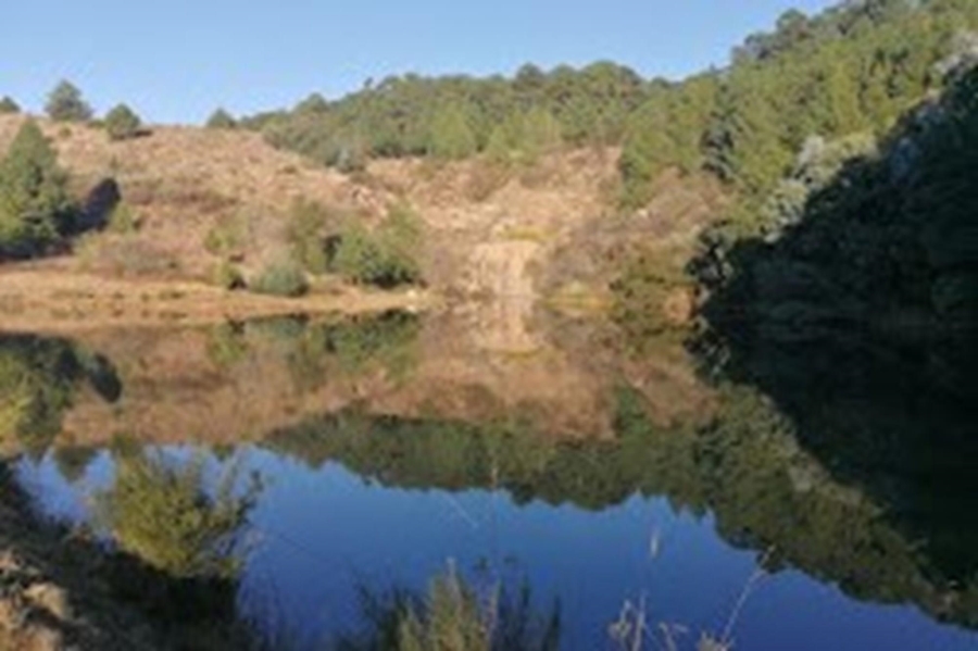 10 Bedroom Property for Sale in Machadodorp Mpumalanga
