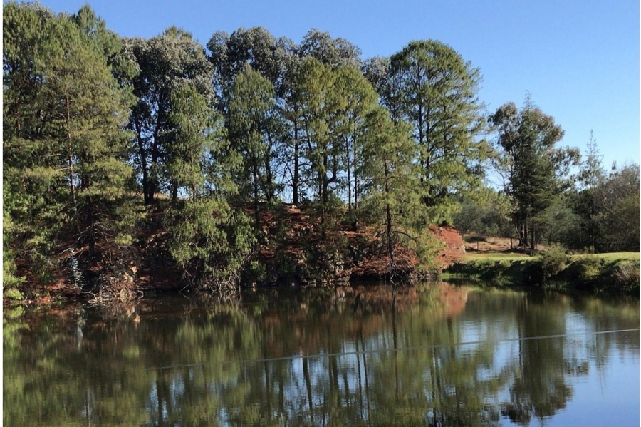 10 Bedroom Property for Sale in Machadodorp Mpumalanga