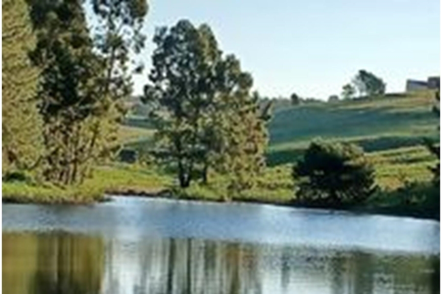 10 Bedroom Property for Sale in Machadodorp Mpumalanga