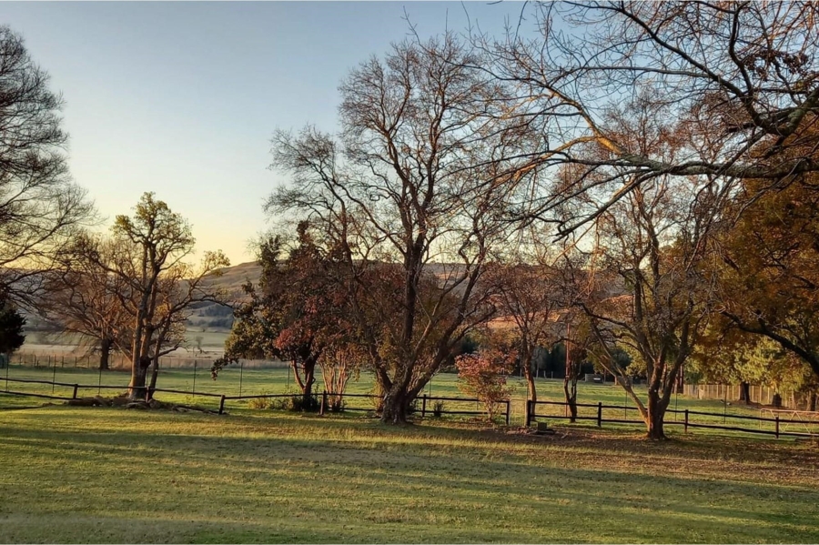 10 Bedroom Property for Sale in Machadodorp Mpumalanga