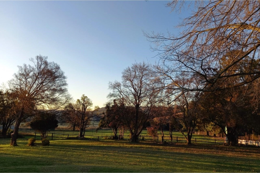 10 Bedroom Property for Sale in Machadodorp Mpumalanga