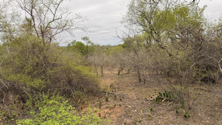 0 Bedroom Property for Sale in Sabie Park Mpumalanga